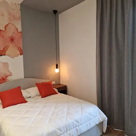 招待所 Incoming Roof Bovio