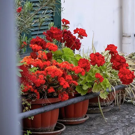 Incoming Roof Bovio 3* 那不勒斯