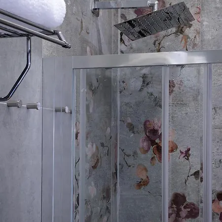 招待所 Incoming Roof Bovio